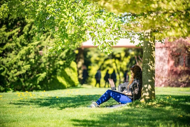 開學季筆電怎麼挑？2026 大學生筆電選購指南（依科系推薦）