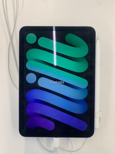 Apple iPad mini（A17 Pro）